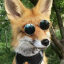 foxlight