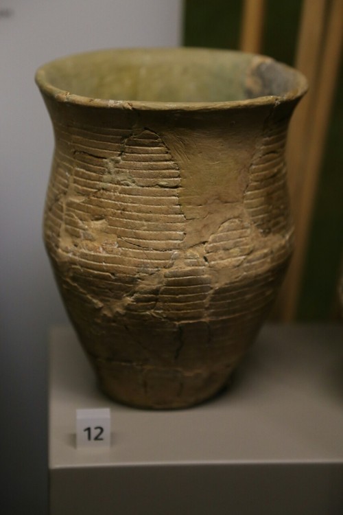 Prehistoric Beakers Set 3, Wiltshire Museum, Devizes, 20.2.16.