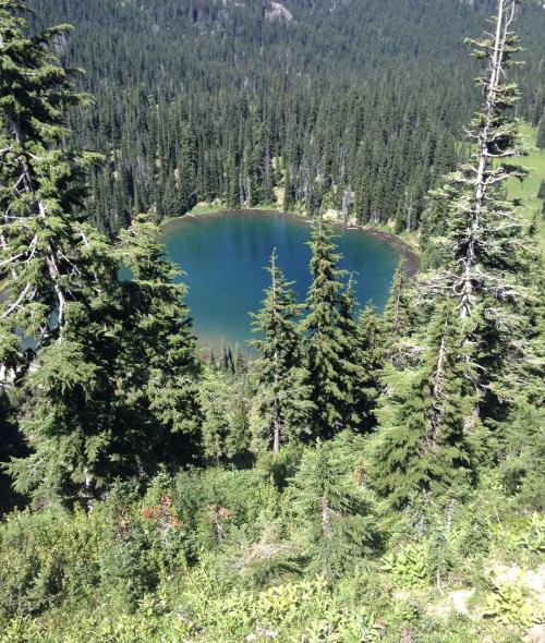 Oneshotolive:  Vibrant Blue Pool In Mount Rainier National Park, Wa [Oc][4032X3024]