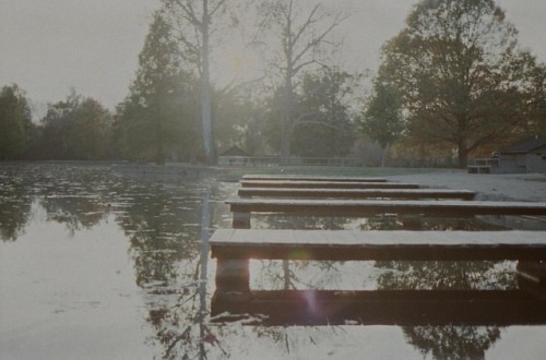 #35mmfilm #olympusom1 #istillshootfilm #ohio #fall #50mmprime #landscapephotography #photooftheday