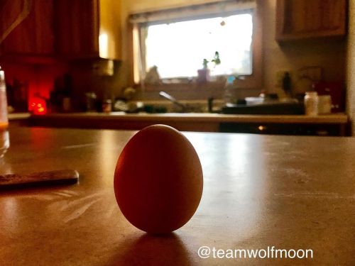 Happy Spring! Anyone else grow up with the tradition of &ldquo;balancing eggs&rdquo; (standing them 