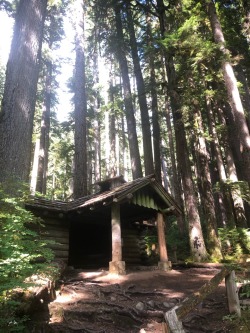 Finally got back out to Sol Duc falls, been talking about it anytime I see it pop