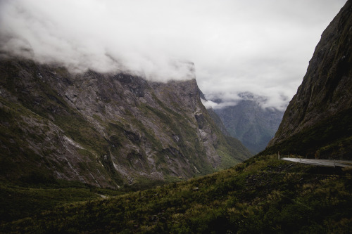 Porn Pics piavalesca:  fiordland national park 