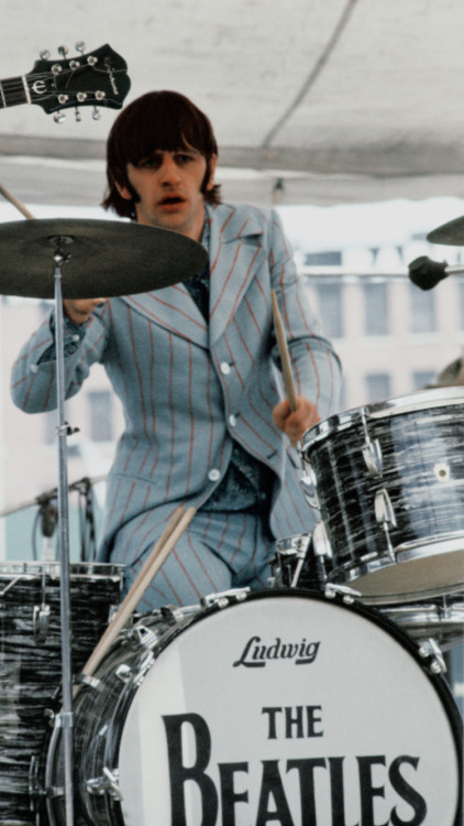 bandsedits:ringo starr.