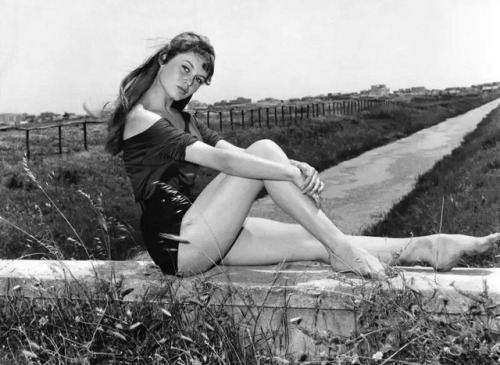 talesfromweirdland:Brigitte Bardot in 1952.