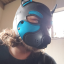 locked-dog