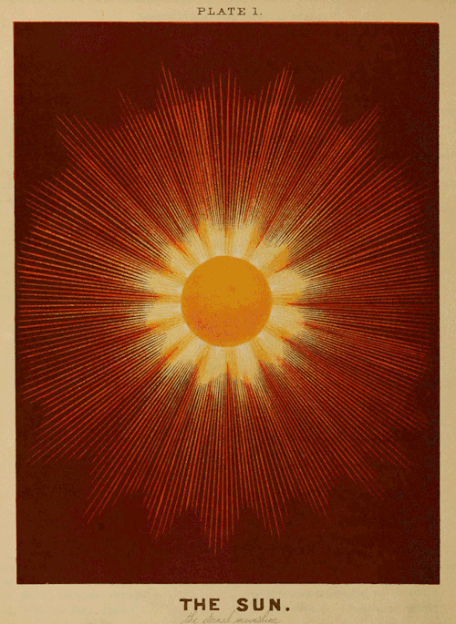 The Sun Through The Houses!