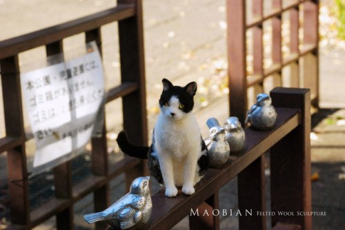 Last December I took my needle felted cat to travel to Tokyo.(part. 2)Before Natsume Soseki’s(夏目漱石) 