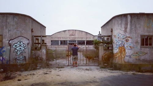 The tourist and the dog #longboardride #oneofthosedays #watchdog #oldfactory #graf #barra (em Barra,