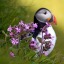 flowerfieldpuffin