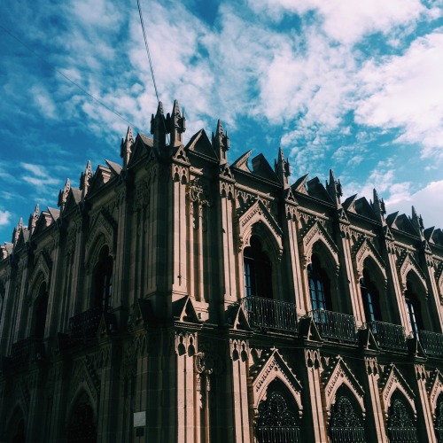 alexandrobam: Zacatecas, México.