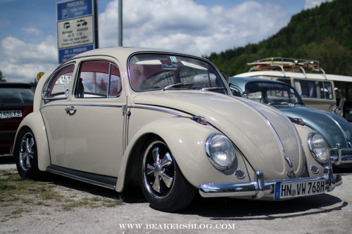 vw beetle