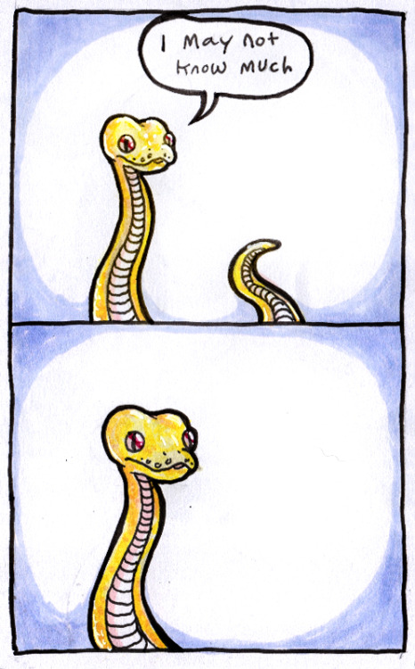 Porn william-snekspeare:  the second panel was photos