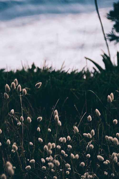 DEEP LOVE PHOTOGRAPHY