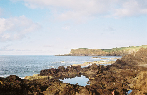 Terceira, Azores.September, 2018.