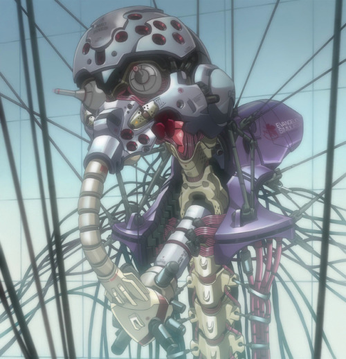 unknown-eva: Evas Anatomy