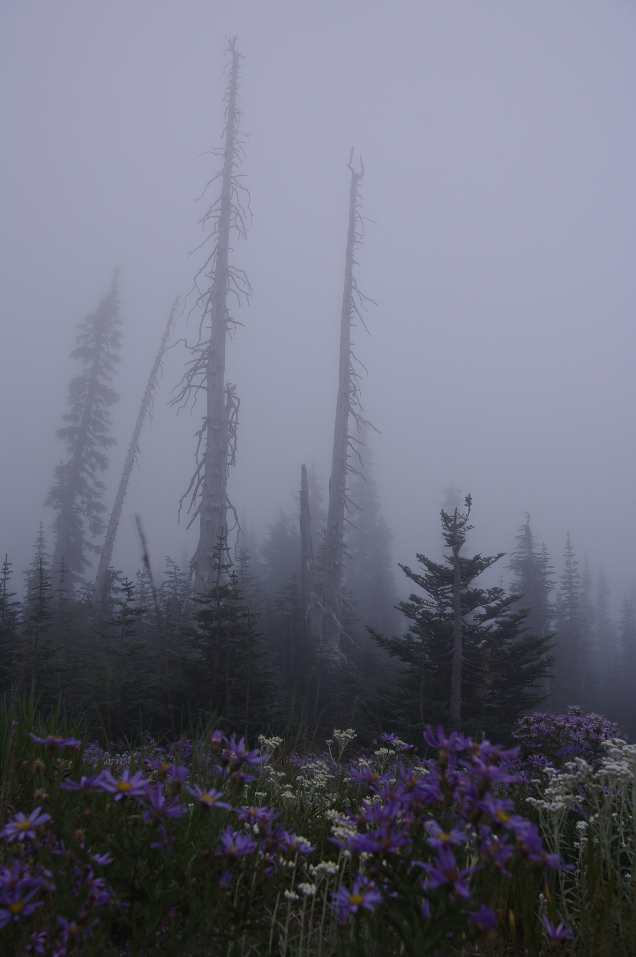 90377: Untitled by David  