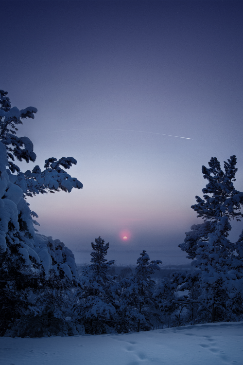 expressions-of-nature:  Frosty Sunset : Anna Anikina
