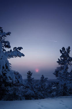 expressions-of-nature:  Frosty Sunset : Anna