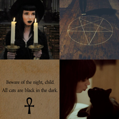bellusisterror: witchcraft-aesthetics: ☽◯☾ WITCHCRAFT AESTHETICS ☽◯☾ Animal Covens // Cat Witches &n