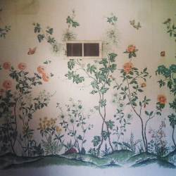  A painted wall in the abandoned house at Scribe winery. (at Scribe Winery) 