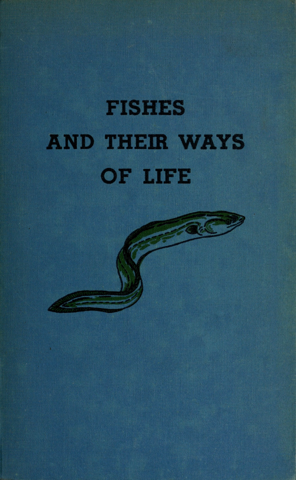 Electric eel. Fishes and their ways of life. 1935. Internet Archive