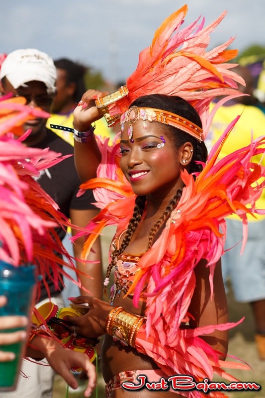 peopleofbajanheritage:Grand Kadooment 2016 (Barbados)