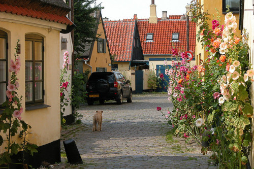 Picturesque streets in the old town of Dragør, Denmark (by Erik Christensen).