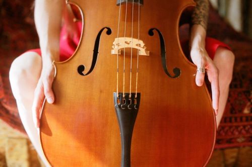 Musical Instrument, Musical Instrument String, Midsection, Music, One Person, Human Hand, String Ins