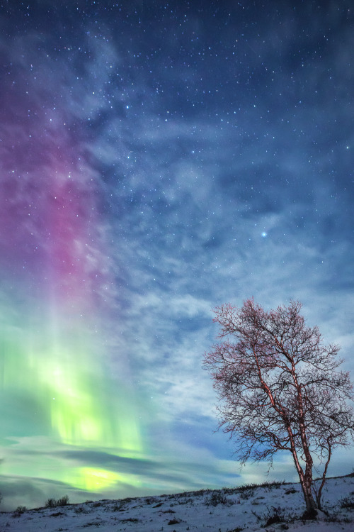 Porn photo tiinatormanenphotography:  Aurora archives. Finland