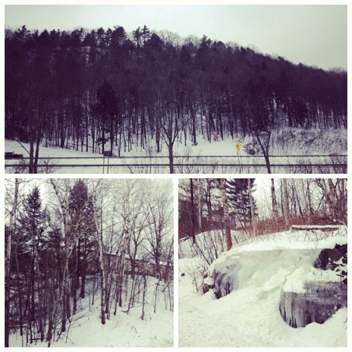 Im Living In A Calvin And Hobbes Strips.