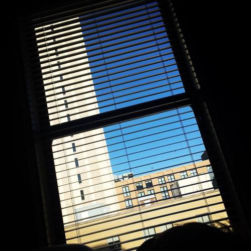 Morning. #stlarchitecture #bedroomview #windowslats (at House Of Nara)