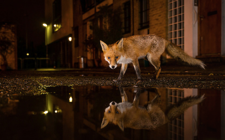 nubbsgalore:photos by mark smith and mark bridger who document, respectively, the