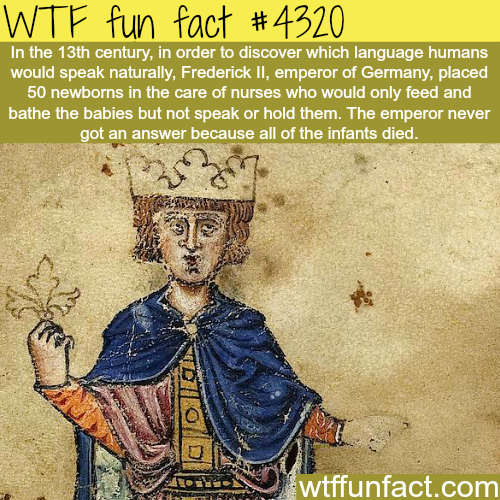 wtf-fun-factss:   What language would humans naturally speak -  WTF fun facts