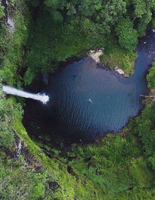 oceaniatropics: Chandler falls, NSW, Australia, by Michael Quinn