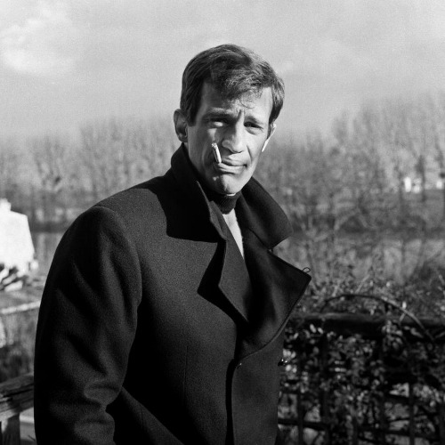 adreciclarte: Jean-Paul Belmondo