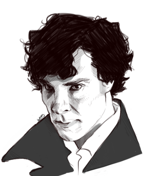 willietheplaidjacket:A consulting detective. The only one in the world.
