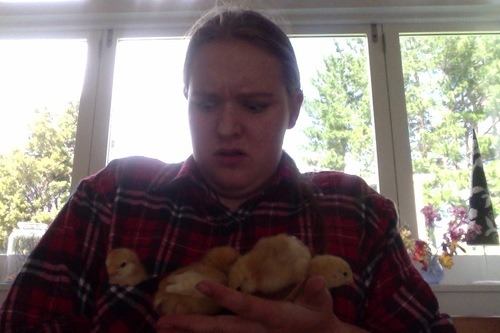 plaideangel:  plaideangel:  thewifeofloki:  what the hell do you mean chicks don’t like plaid  this one does  oh shit  wHAT   CHICKS REALLY LIKE PLAID WATCH OUT   chick magnet  WHICH ONE OF YOU DICKHEADS BROUGHT THIS BACK JUST WHEN I THOUGHT IT HAD