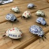 entomologize:ALTALTALTCeramic beetles by porn pictures