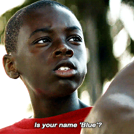aliciavikender: I’ve been here a long time. Out of Cuba. A lot of black folks are