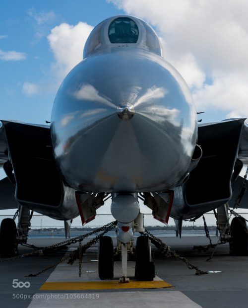 fourcolortransport:Navy F-14 Tomcat by RoyHall8