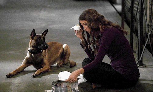 muchadoaboutsnap:Root in A More Perfect Union(5x06) Even I appreciate a fairy tale ending Harry…fami