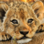 liongirlfail