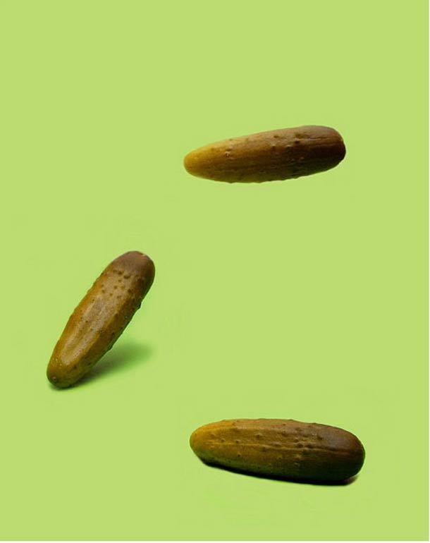 artmonia:  I Fought The Law by Olivia Locher  With her “I Fought The Law” project,