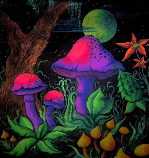 imperialprism:  mushrooms on We Heart It - http://weheartit.com/entry/232494411 