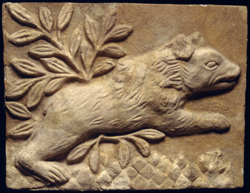 Wall panel in stucco relief from Sasanid Persia, depicting a charging bear.  Artist unknown; 6th cen