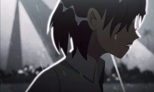 DO NOT HARRASS THE ANIMATION STAFF/STUDIO