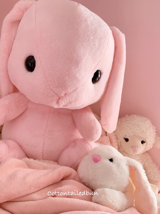 XXX cottontailedbun:    My stuffies help me regress photo