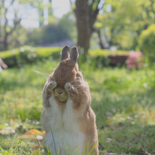 Today’s Off The Charts Cuteness!