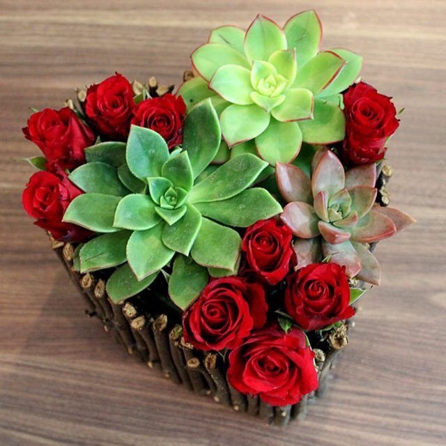 miss-mandy-m:  Succulent and red rose valentine
